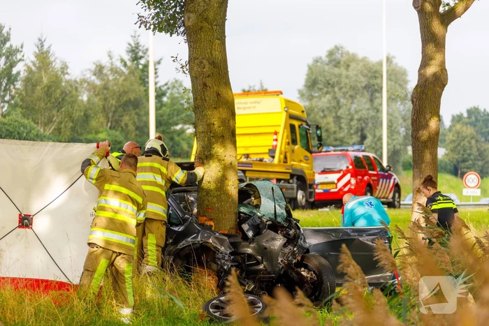 Auto knalt op boom, bestuurder overleden