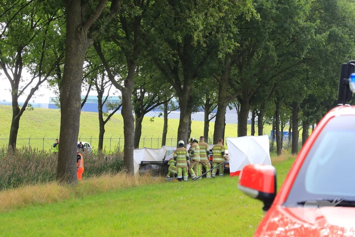 Auto knalt op boom, bestuurder overleden