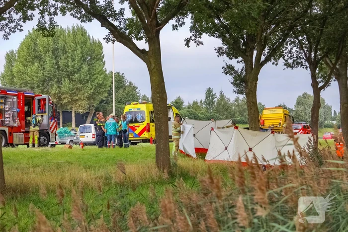 Auto knalt op boom, bestuurder overleden