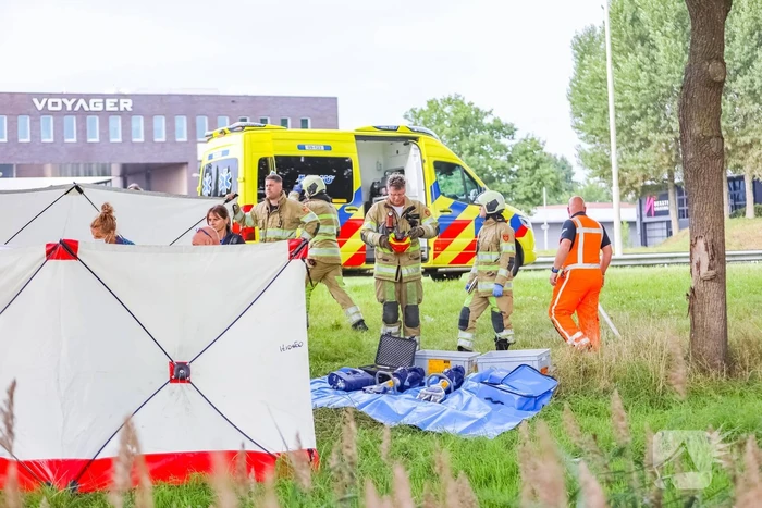 Auto knalt op boom, bestuurder overleden