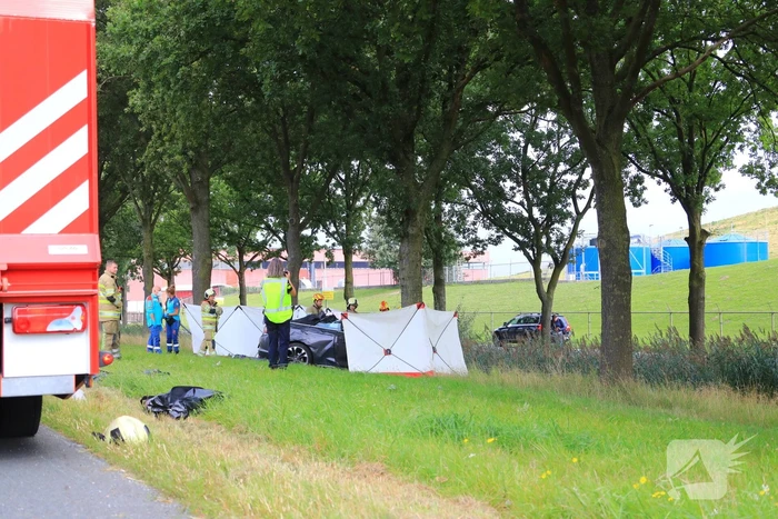 Auto knalt op boom, bestuurder overleden