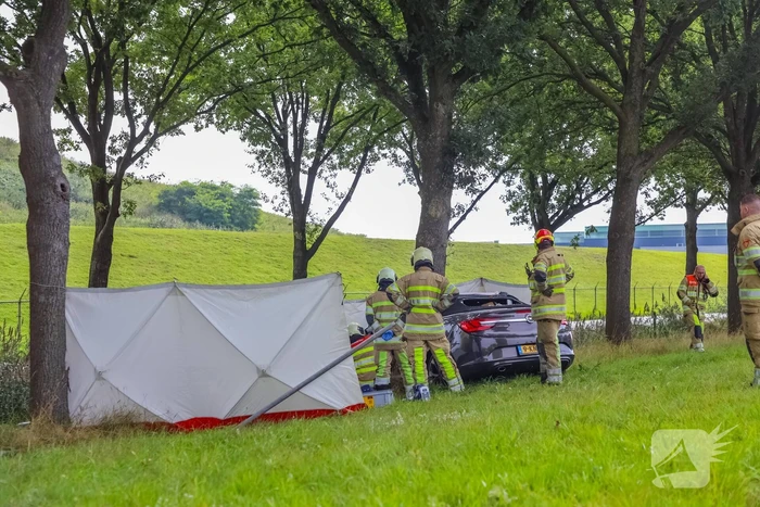 Auto knalt op boom, bestuurder overleden
