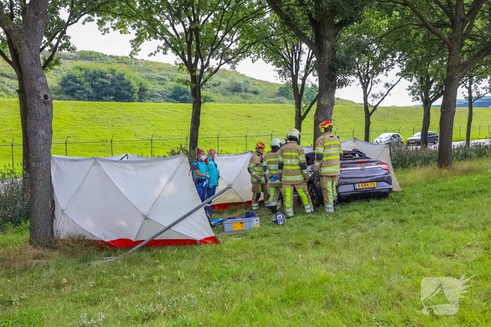 Auto knalt op boom, bestuurder overleden