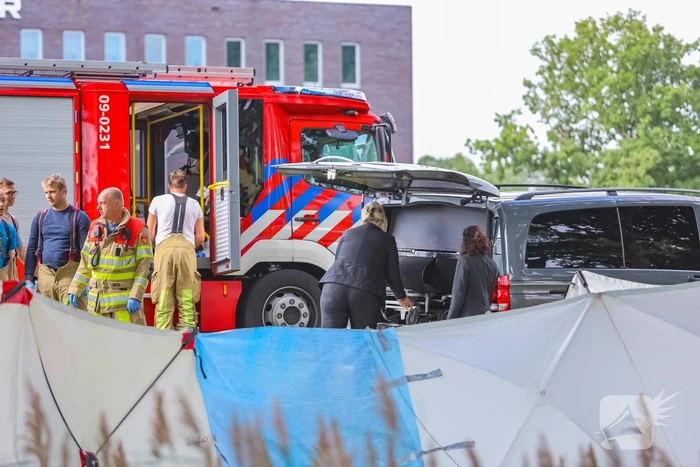 Auto knalt op boom, bestuurder overleden