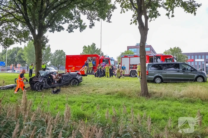 Auto knalt op boom, bestuurder overleden