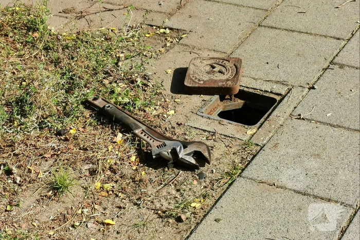 Verwijderen van coniferenhaag leidt tot gaslek