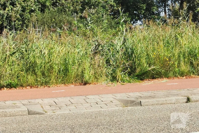 Scootmobieler ligt 45 minuten in riet