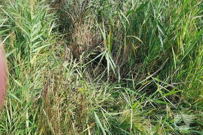 Scootmobieler ligt 45 minuten in riet