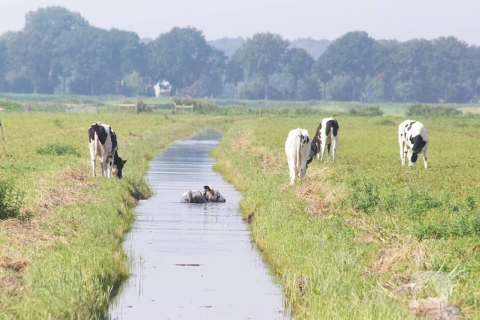 nieuws zomerdijk eemnes