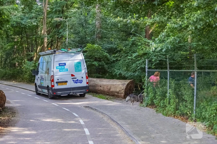 nieuws barchman wuytierslaan amersfoort