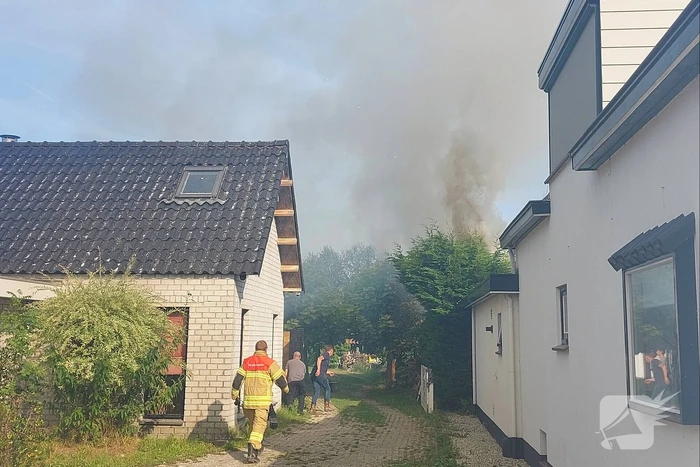 Coniferenhaag vliegt in brand in achtertuin