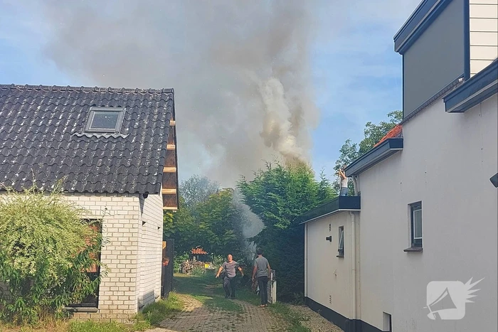 Coniferenhaag vliegt in brand in achtertuin