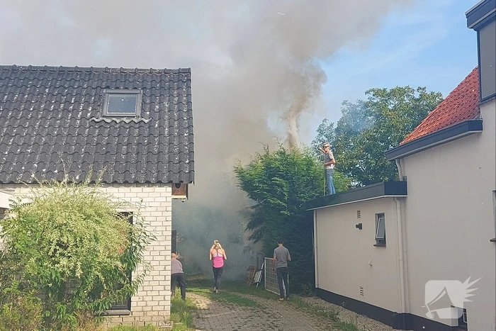 Coniferenhaag vliegt in brand in achtertuin