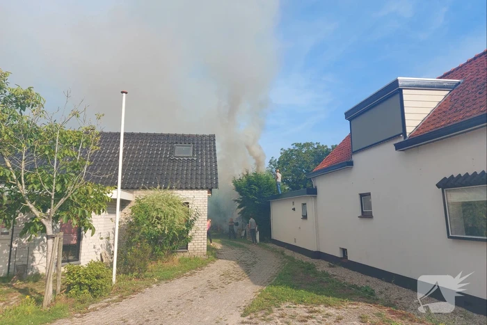 Coniferenhaag vliegt in brand in achtertuin