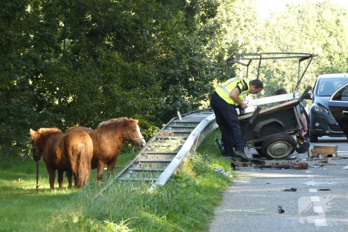 Zwaargewonde na ongeval met rijtuig