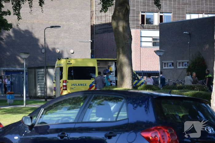 nieuws peppellaan emmeloord