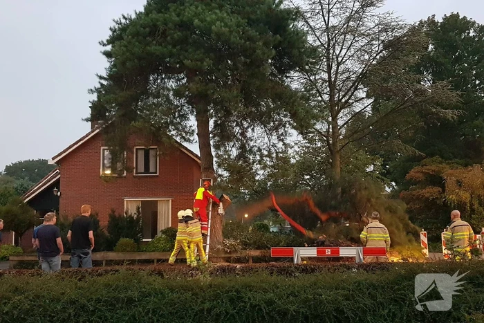 Brandweer verwijdert grote tak uit boom