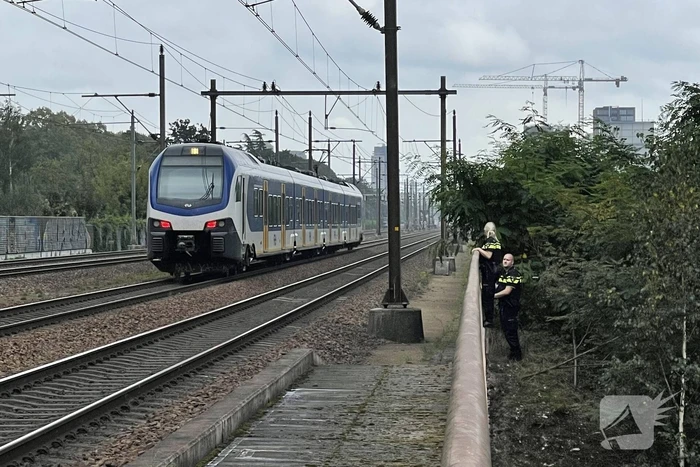 Treinverkeer stilgelegd door persoon op spoor