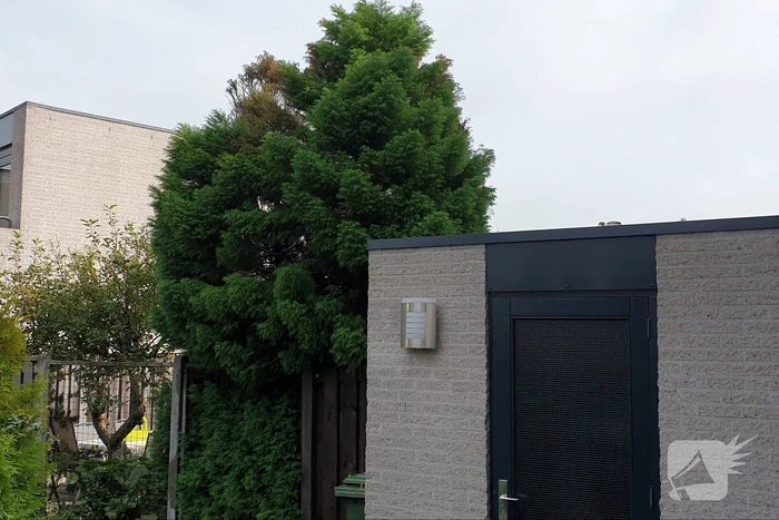 Heg vat vlam bij wegbranden van onkruid