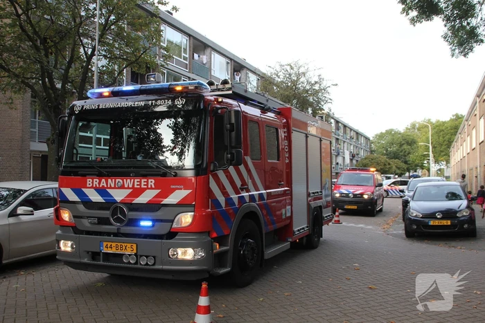 nieuws pro patriastraat zaandam