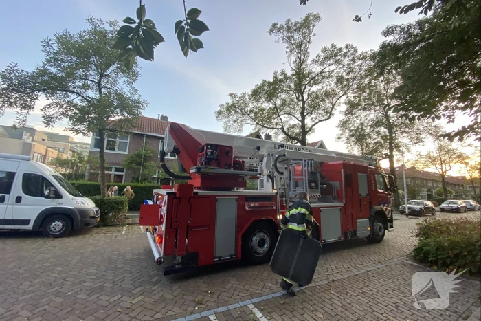 Vermiste kat Chico aangetroffen onder dakpan