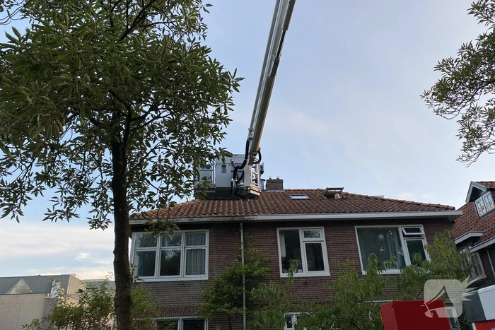 Vermiste kat Chico aangetroffen onder dakpan