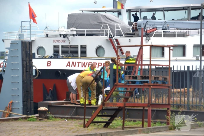 Man valt in ruim van schip in Beatrixhaven