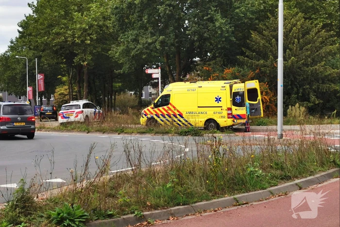 Fietsster schrikt en komt ten val