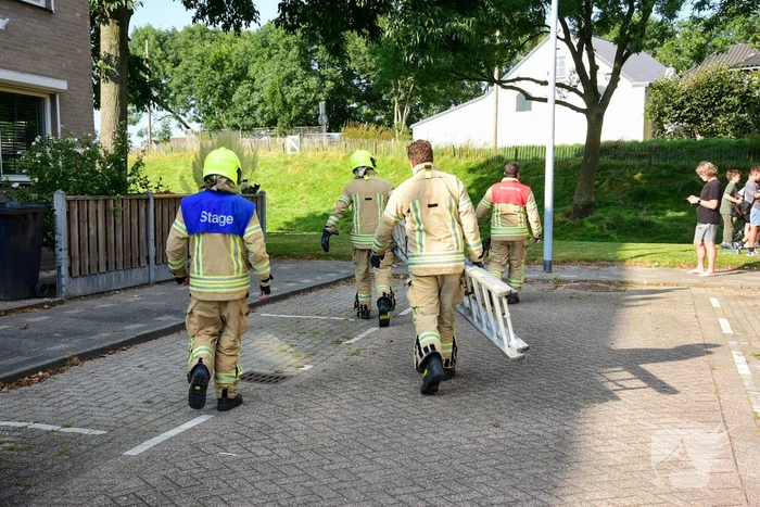Brandweer haalt kat uit de boom