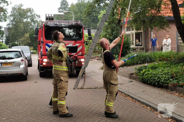 nieuws bosweg bennekom