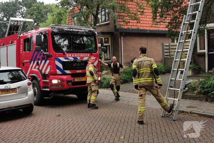 Kat kiest hazepad na reddingsactie brandweer