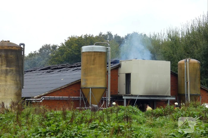 Uitslaande brand in stal met 300 varkens