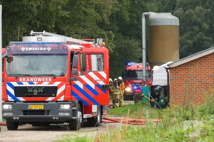 Uitslaande brand in stal met 300 varkens