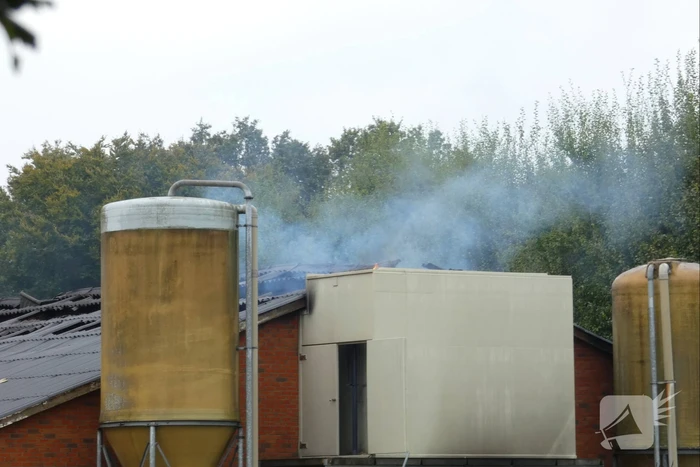 Uitslaande brand in stal met 300 varkens