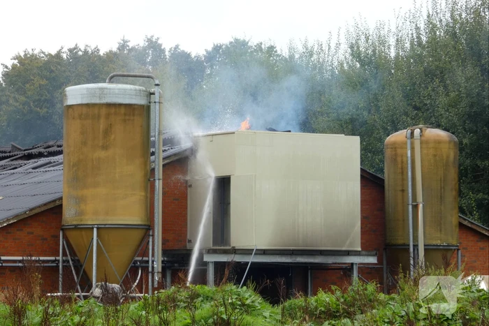Uitslaande brand in stal met 300 varkens
