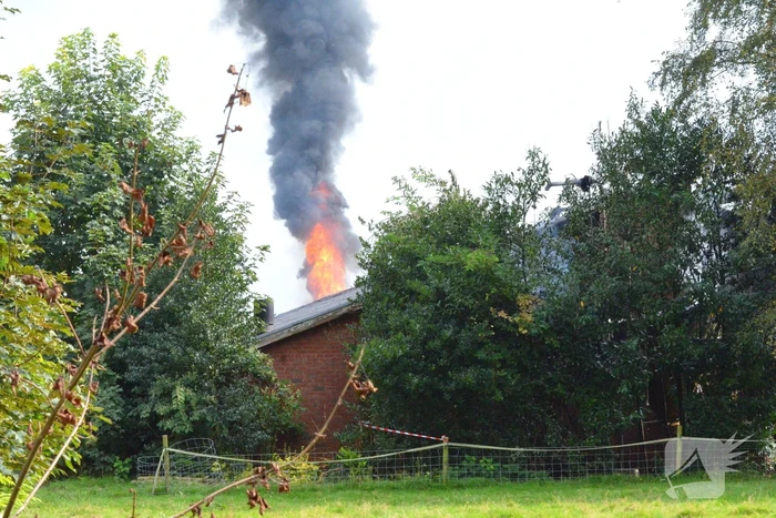 Uitslaande brand in stal met 300 varkens