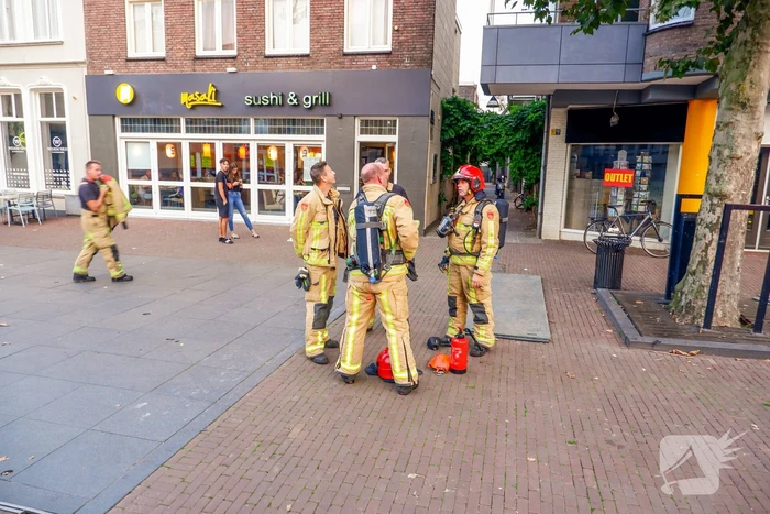 Kip in airfryer vliegt in brand