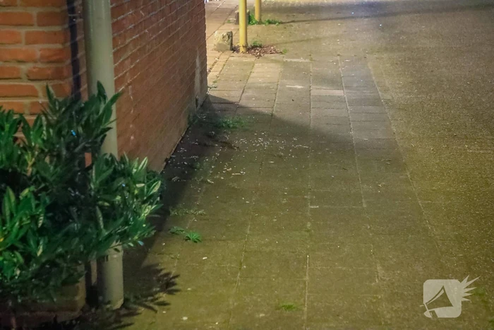 Onderzoek naar mogelijke schietpartij