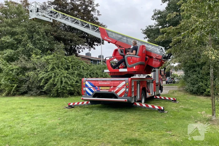 Brandweer haalt kat uit boom en ontsnapt