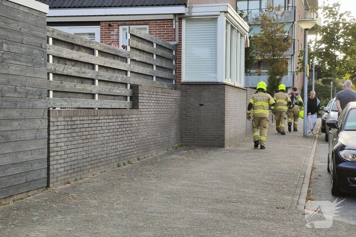 Brandlucht door uitroken wespennest