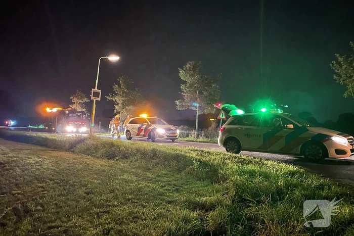 Bestuurder gewond door botsing tegen boom