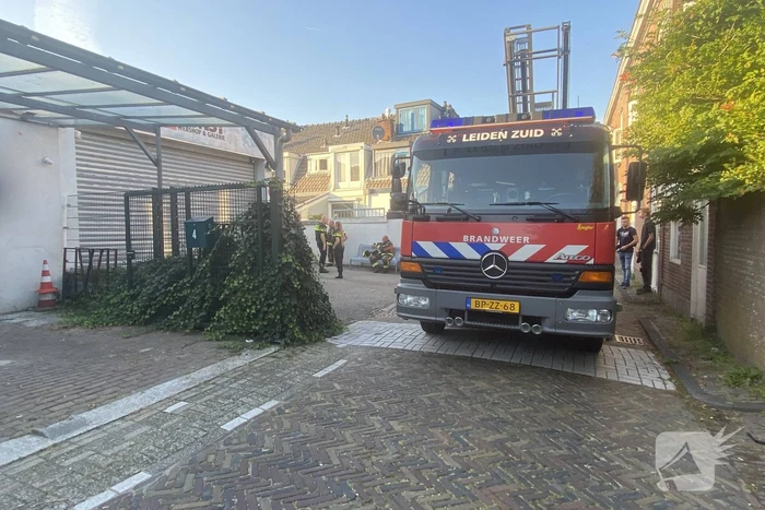 Politie treft hennepkwekerij aan in woning
