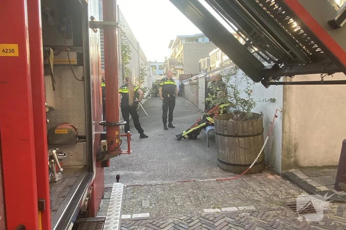 Politie treft hennepkwekerij aan in woning