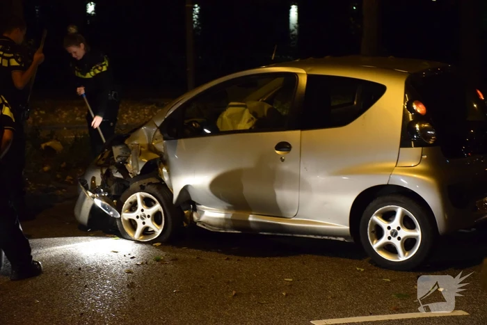 Personenauto belandt tegen boom