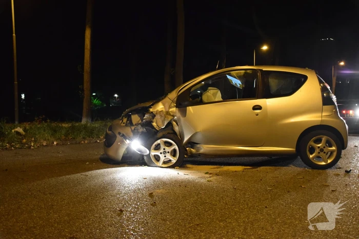 Personenauto belandt tegen boom