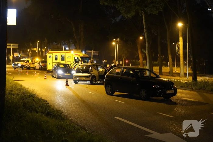 Personenauto belandt tegen boom