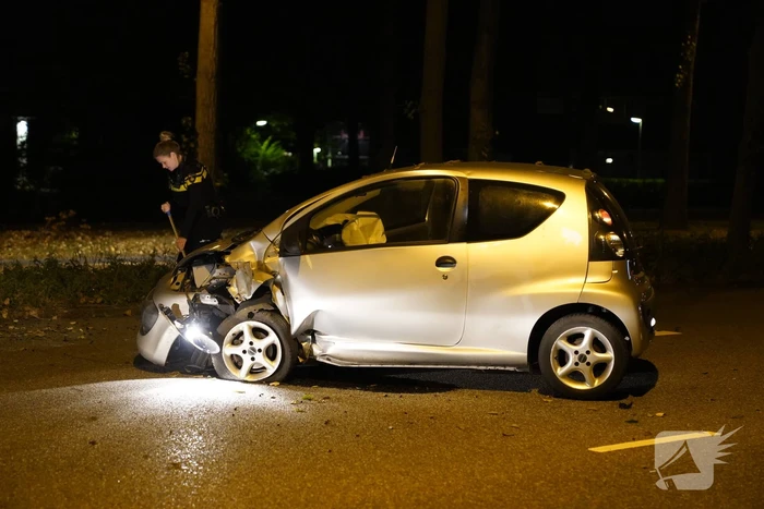Personenauto belandt tegen boom