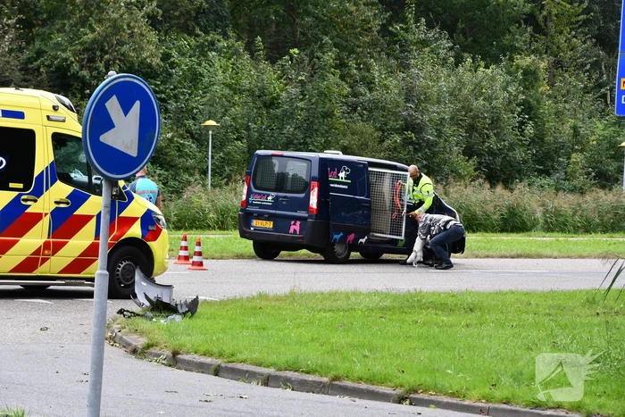 Bestelbus hondenuitlaatservice in botsing met auto
