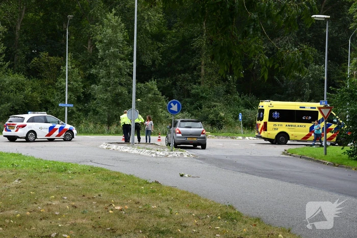 Bestelbus hondenuitlaatservice in botsing met auto