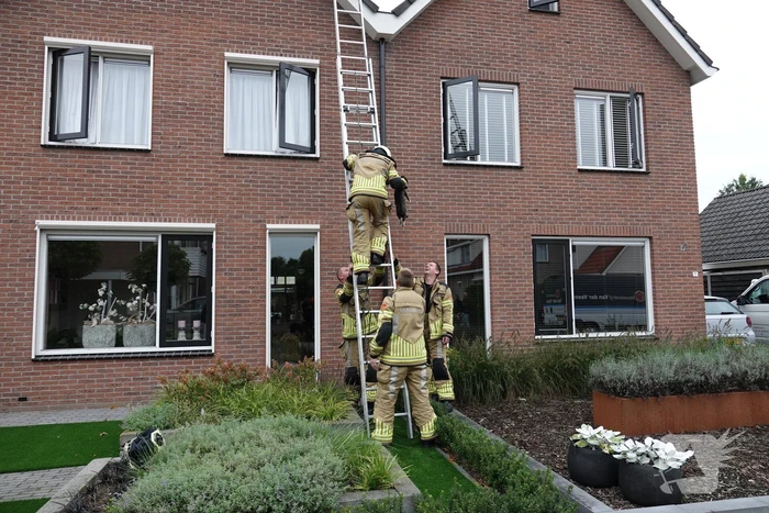 Kat uit de dakgoot gehaald